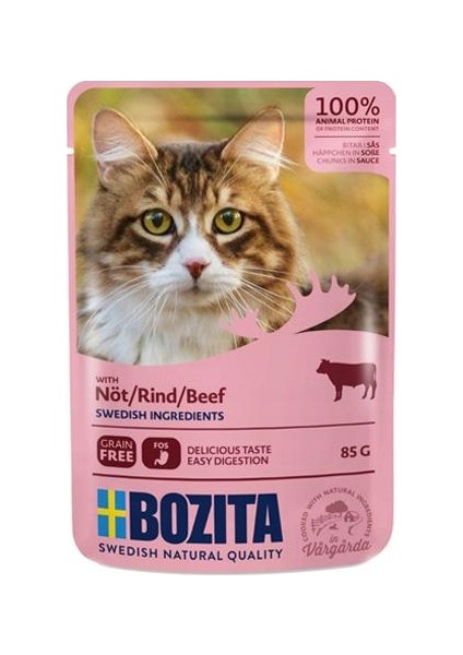 Pouch Biftek Etli Tahılsız Yetişkin Kedi Konservesi 85 gr