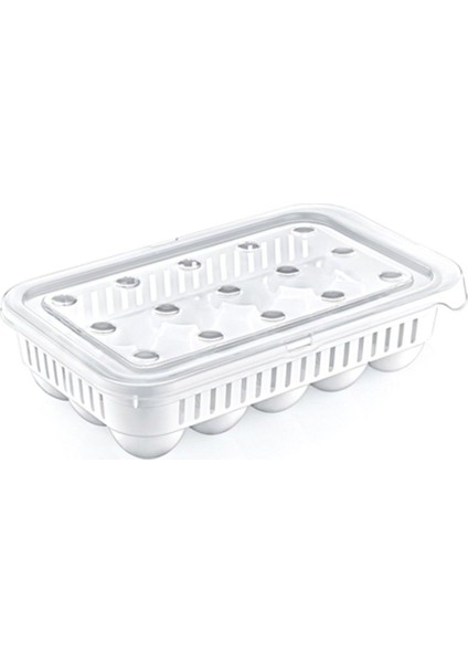 15 Li Yumurta Saklama Kabı, Yumurta Saklama Organizer