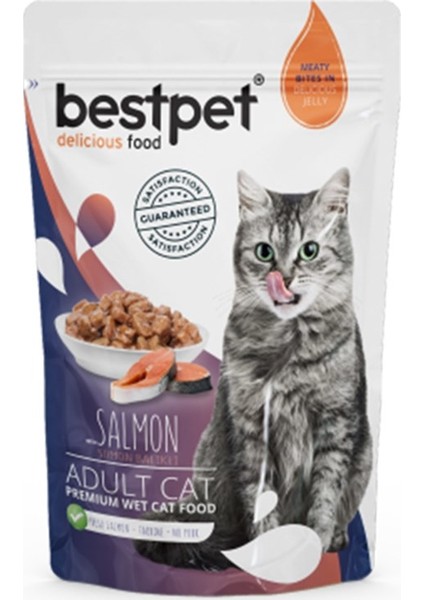 Adult Jelly Pouch Somonlu Kedi Maması 85 gr x 24 Adet