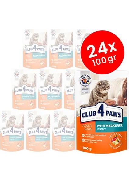 Premium Uskumurulu Pouch Kedi Konservesi 24x100 gr
