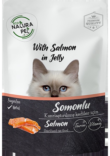 Kısır Kedi Somonlu 85 gr Pouch x 20
