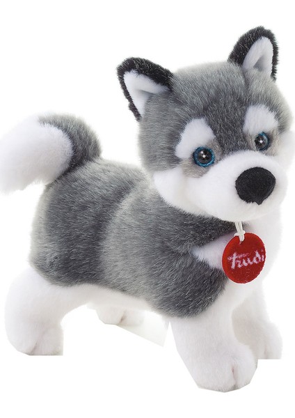 Peluş Husky arcus