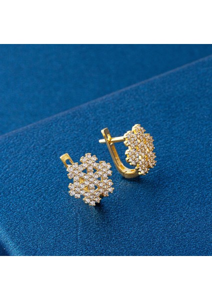 Kar Tanesi 14 Ayar Altın Küpe fırsatları