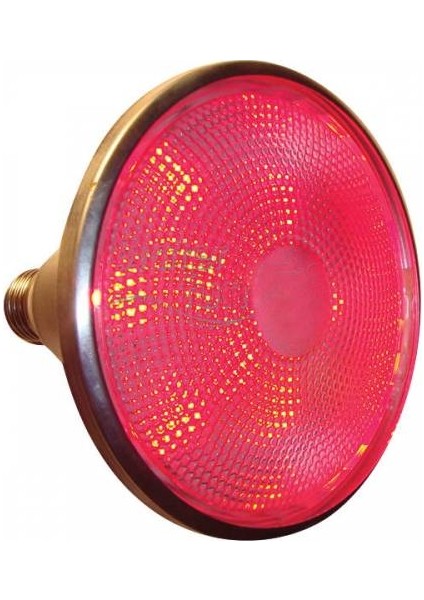 PAR38 80W Kırmızı Ampul E27