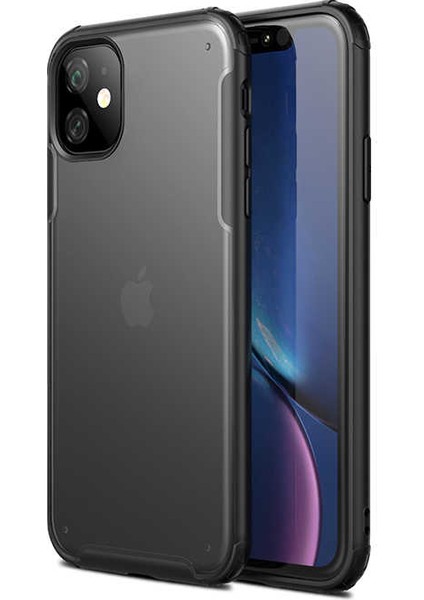 Apple iPhone 11 Venga Serisi Renkli Kenar Arka Mat Silikon Kılıf Siyah