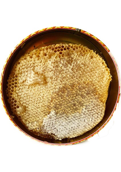 Geven Balı 1 kg