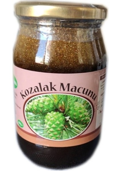 Çam Kozalak Macunu 420 gr