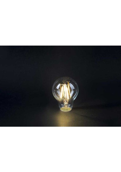 6W Edison Cob LED Ampul (Günışığı) CT-4231