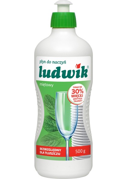 Nane Özlü Bulaşık Deterjanı 500 ml