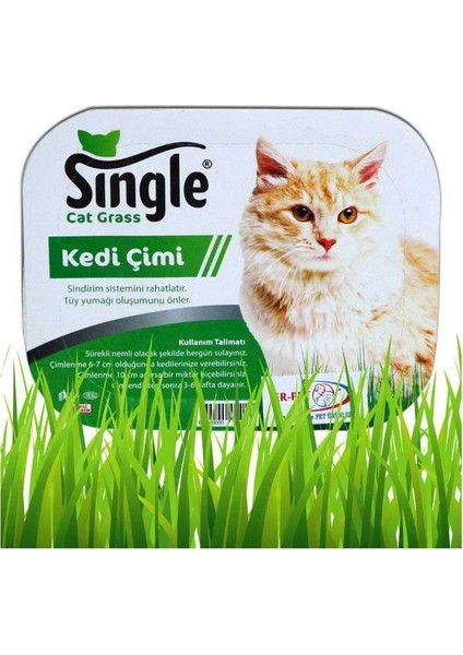 Natural Kedi Çimi