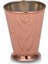Bevanda Bakır Bardak 300ML 1