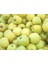 Bursatarım Golden Delicious Elma Fidanı 1