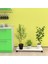 Kenzlife saksı altlığı kazım byz 010x30 tüp saksılık 1