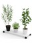 Kenzlife saksı altlığı kazım byz 010x30 tüp saksılık 2