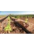 Damlama Hortumu 16MM Delikli 20 cm Aralıklı 1TOP(400METRE) 4