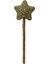 Matatabi Catnip Yildiz Kedi Lolipop 10 cm 1