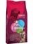Pets Family Papağan Yemi 600 gr 1