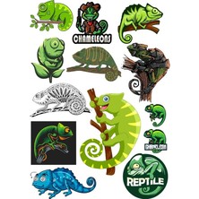 Reysa Tasarım Iguana Sticker Set-1 13 Parça Telefon, Tablet, Defter, Laptop Sticker