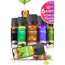 Evove Cosmetics 6'lı Oda Kokusu Seti 10 ml Cam Şişe İçerisinde Sedir, Sandal, Yeşil Elma, Kabe, Yeşil Çay, Sümbül