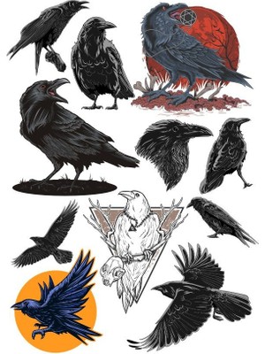 Reysa Tasarım Karga Sticker Set-1 11 Parça Telefon, Tablet, Defter, Laptop Sticker