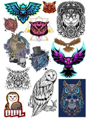 Reysa Tasarım Baykuş Sticker Set-4 13 Parça Telefon, Tablet, Defter, Laptop Sticker