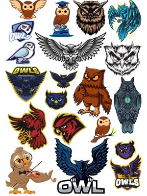 Reysa Tasarım Baykuş Owl Sticker Set-12 20 Parça Telefon, Tablet, Defter, Laptop Sticker