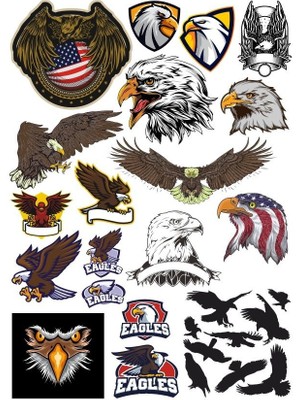 Reysa Tasarım Kartal Eagle Sticker Set-17 17 Parça Telefon, Tablet, Defter, Laptop Sticker