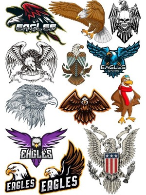 Reysa Tasarım Kartal Eagle Sticker Set-12 15 Parça Telefon, Tablet, Defter, Laptop Sticker