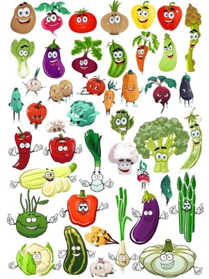 Reysa Tasarım Bitki Alemi Sticker Set  43 Parça Telefon, Tablet, Defter, Laptop Sticker