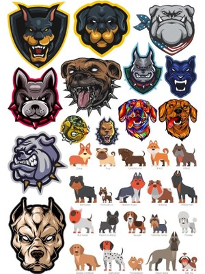 Reysa Tasarım Köpekler Sticker Set 11 20 Parça Telefon, Tablet, Defter, Laptop Sticker