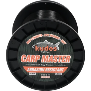 Carp Master Yeşil 2500M Sazanl Misinası