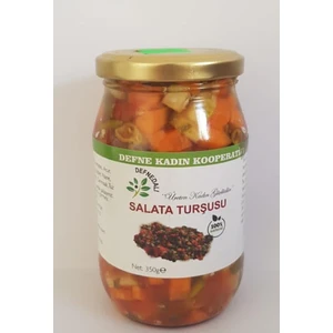 Defne Kadın Kooperatifi Acı Karışık Salata Turşusu 350 gr