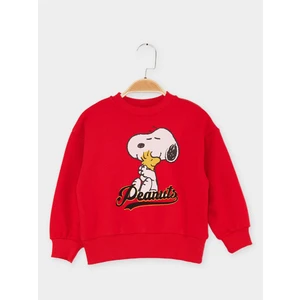 Lisanslı Çocuk Sweattshirt 21624