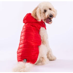 Railway Red Su Geçirmez Orta-Büyük Irk Köpek Yelek Yağmurluk