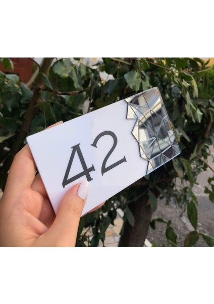 Füme Aynalı Beyaz Kapı Numarası modelleri