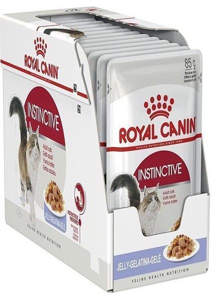 Instinctive Jelly Yaş Kedi Maması 85 gr