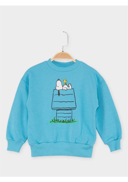 Lisanslı Çocuk Sweattshirt 21625