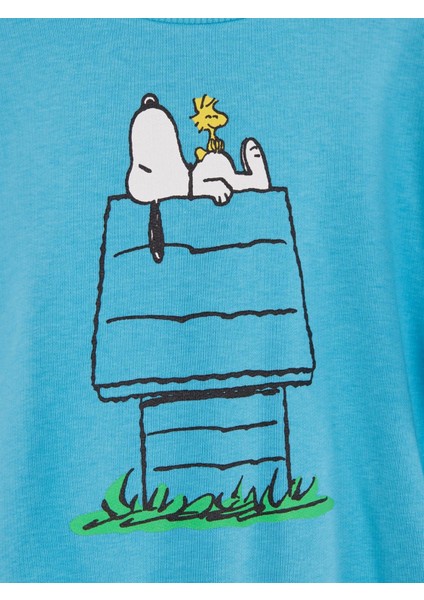 Lisanslı Çocuk Sweattshirt 21625 fiyatları