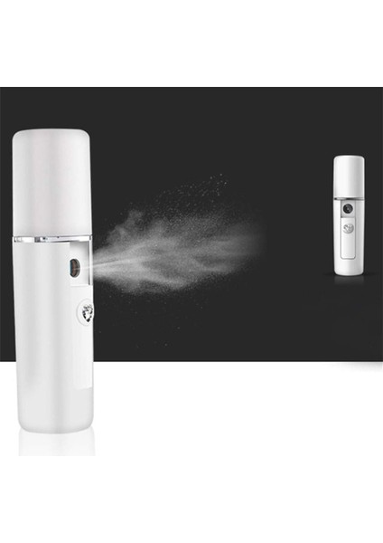 Taşınabilir Mini Gözenek Açıcı Nemlendirici Nano İyonik Yüz Buhar Makinesi modelleri