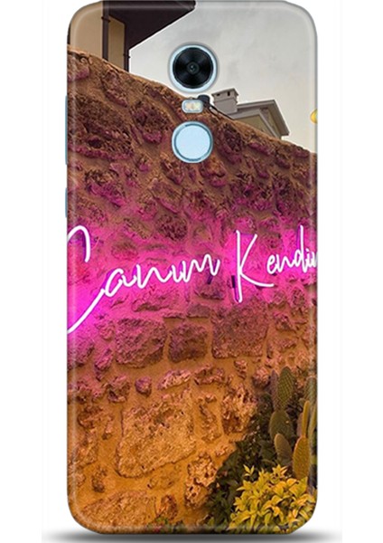 Xiaomi Redmi 5 Plus Kılıf Hd Baskılı Kılıf - Followed Institution 0008