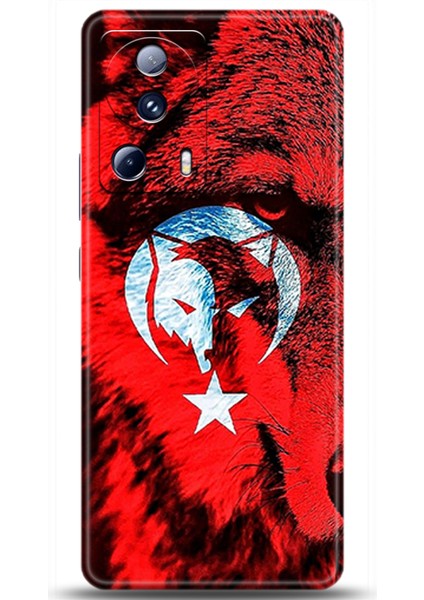 Xiaomi Mi 13 Lite Kılıf Hd Baskılı Kılıf - Followed Institution 0469