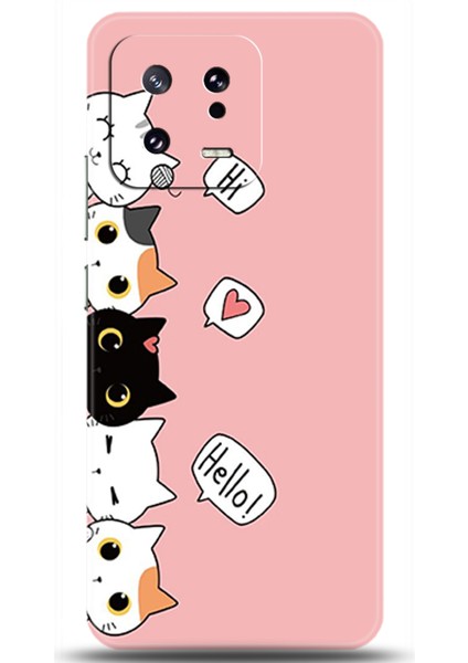 Xiaomi Mi 13 Pro Kılıf Hd Baskılı Kılıf - Followed Institution 0061