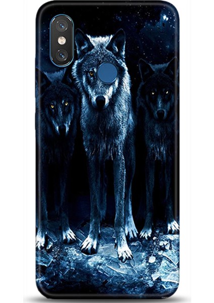 Xiaomi Mi 8 Se Kılıf Hd Baskılı Kılıf - Followed Institution 0336