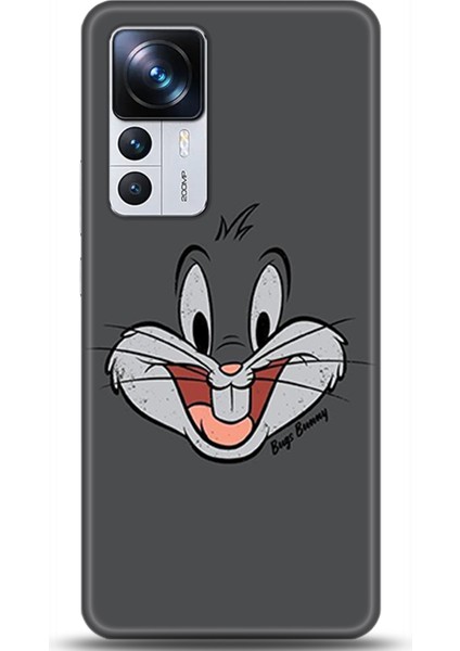 Xiaomi Mi 12T Pro Kılıf Hd Baskılı Kılıf - Followed Institution 0006