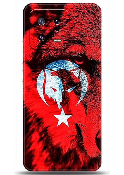 Xiaomi Mi 13 Kılıf Hd Baskılı Kılıf - Followed Institution 0469