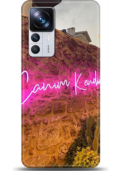 Xiaomi Mi 12T Pro Kılıf Hd Baskılı Kılıf - Followed Institution 0008