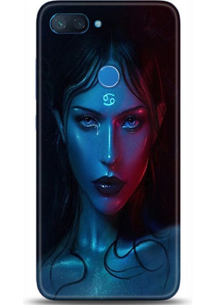Xiaomi Mi 8 Lite Kılıf Hd Baskılı Kılıf - Followed Institution 0388