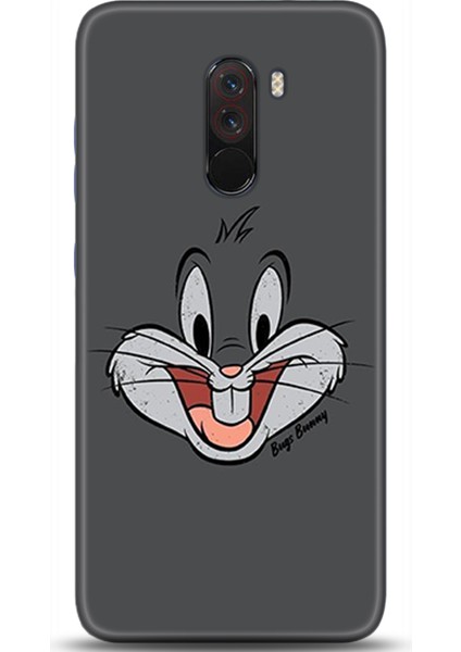 Xiaomi Pocophone F1 Kılıf Hd Baskılı Kılıf - Followed Institution 0006