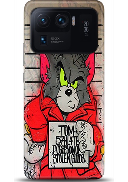 Xiaomi Mi 11 Ultra Kılıf Hd Baskılı Kılıf - Followed Institution 0519