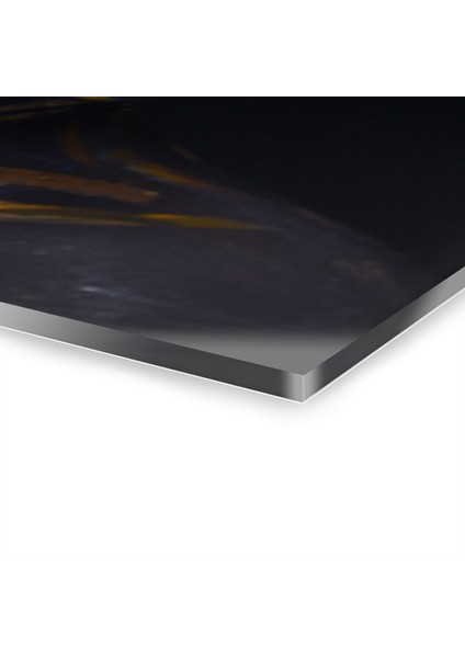 Kadın Model Cam Tablo Duvar Dekoru 11 fırsatları